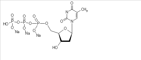 2'-Deoxythymidine-5'-triphosphate, Trisodium Salt(CAS:18423-43-3)