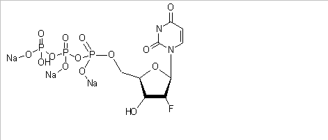 2'-Fluoro-2'-Deoxyuridine-5'-Triphosphate, Sodium Salt